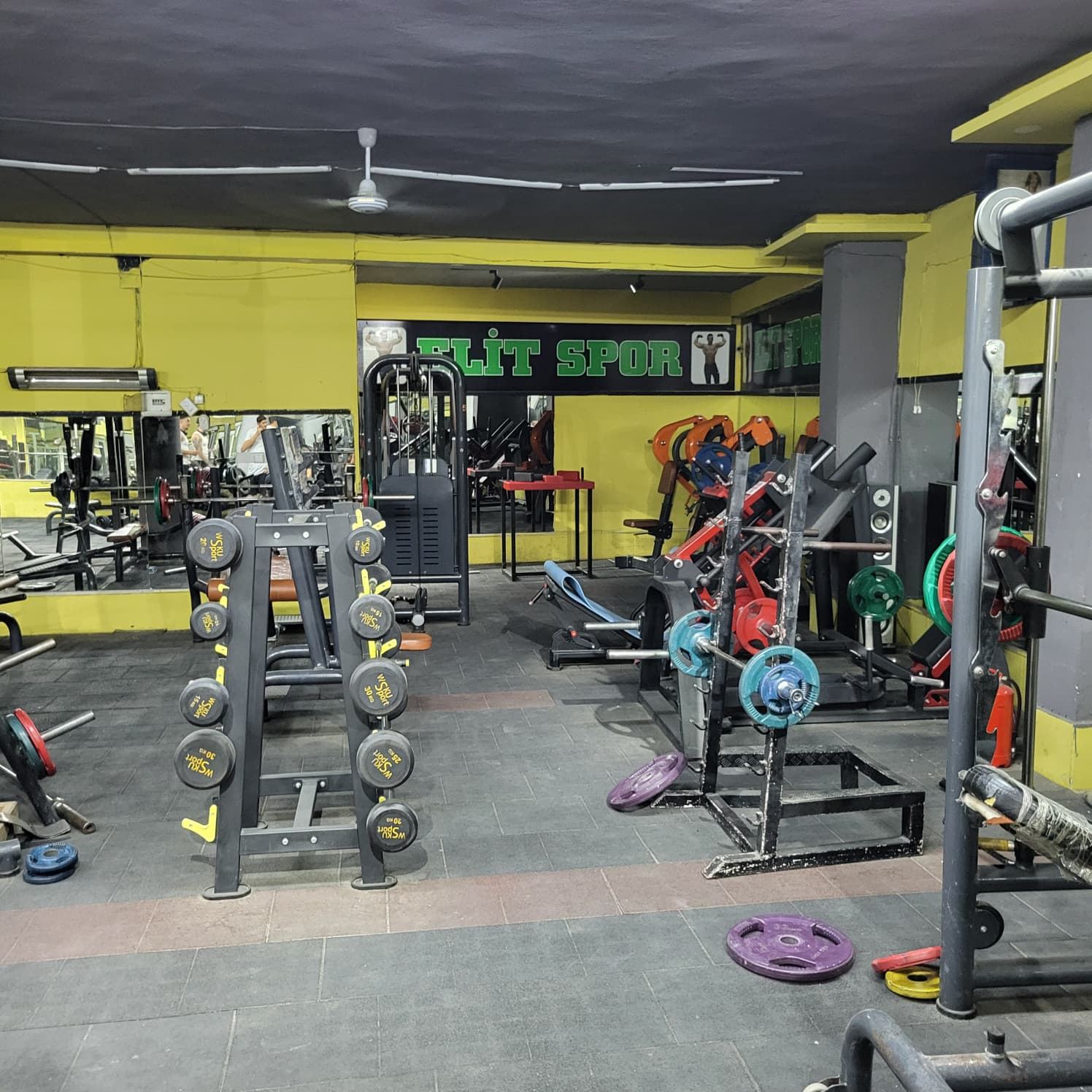 Serbest ağırlık alanı, dambıl ve halter rafları